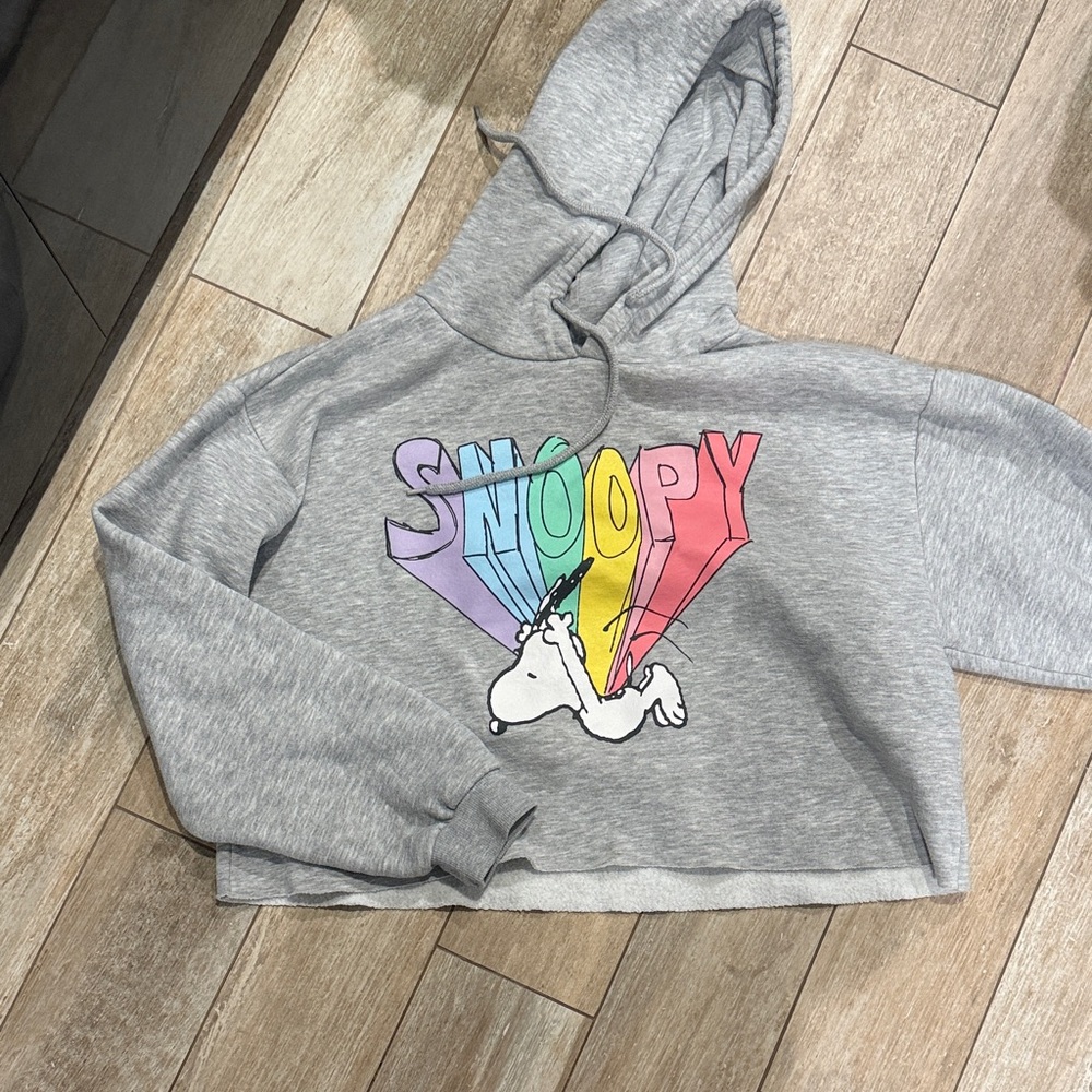 Peanuts Gray Hoodie with Colorful Snoopy Design